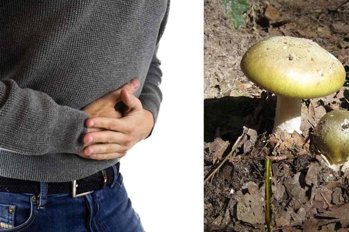 San Donaci: intossicazione da funghi per marito e moglie