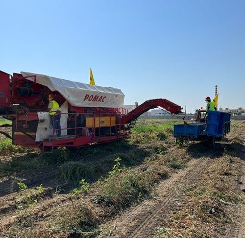 La siccità e i costi di produzione tagliano in Puglia 1 bottiglia di passata su 5