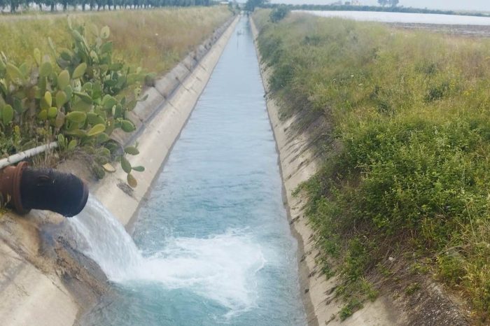 Preoccupa l'irrigazione 2024 nel comprensorio del consorzio di bonifica Stornara e Tara di Taranto: la prospettiva è «speriamo che piova sulle dighe»