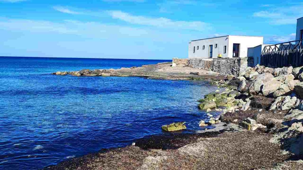 Torre Guaceto Bandiera Blu - RIPRODUZIONE RISERVATA