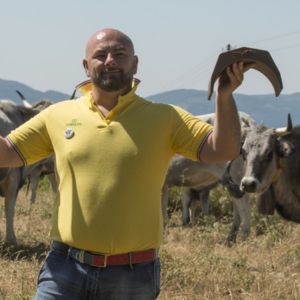 Giovani agricoltori innovano la Puglia: al via l’Oscar Green