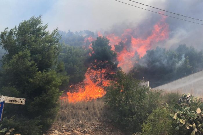 Fronte incendi: si preannuncia l'ennesima estate critica in Puglia