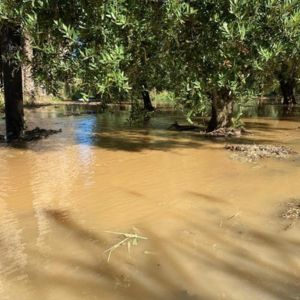 Acqua: Coldiretti Puglia denuncia sprechi a Massafra