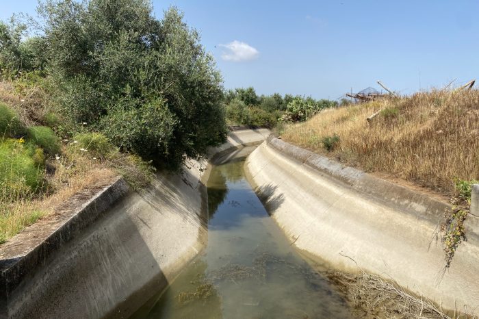 Agricoltura in crisi a Taranto: la CIA Due Mari lancia l'allarme