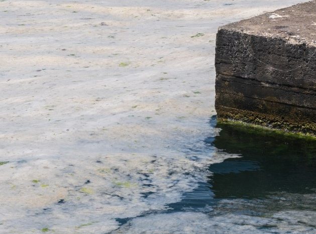 Adriatico in emergenza: mucillagine devasta la pesca