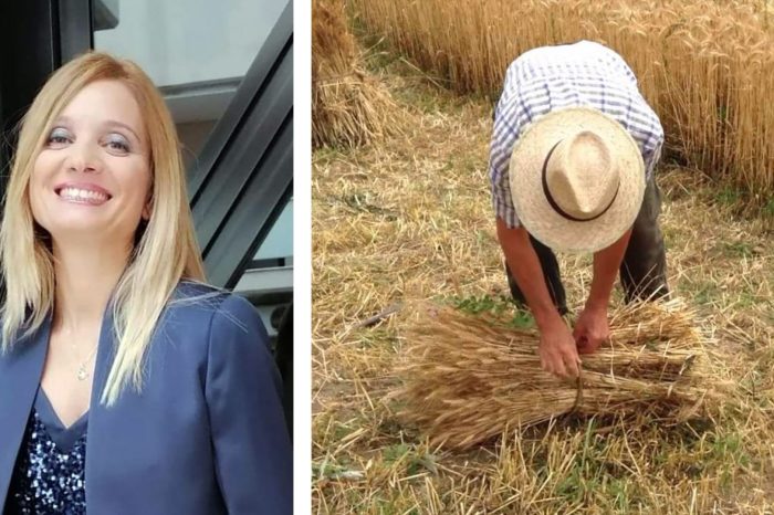 Torna a Grottaglie la “Mietitura del grano” all’antica