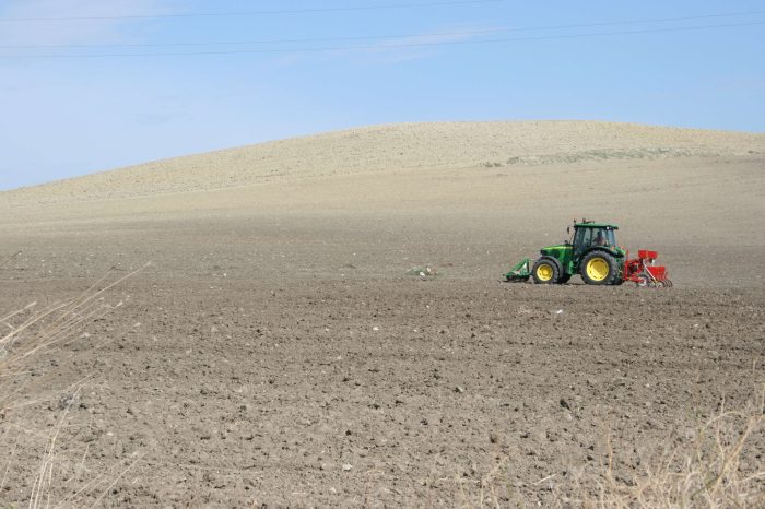 Puglia in crisi: agricoltura in ginocchio per la siccità