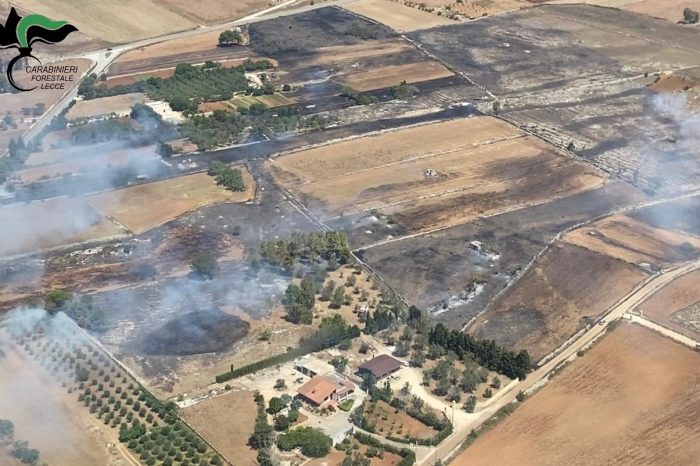 Sorveglianza aerea sui boschi del Salento