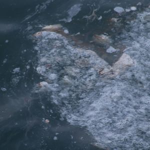 Mare inquinato a Barletta: scatta l'allarme