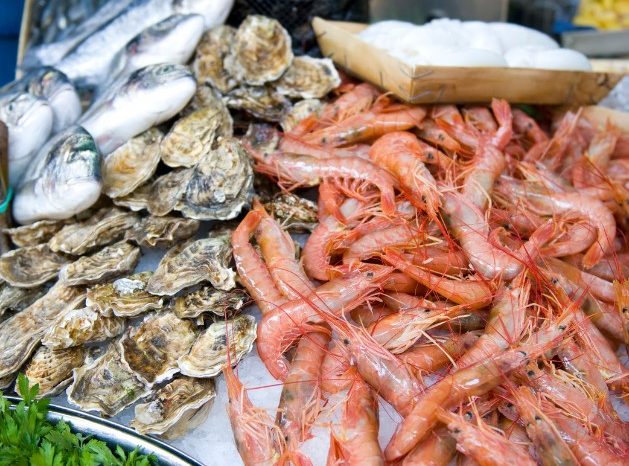 Pesce crudo sequestrato sul molo San Nicola a Bari