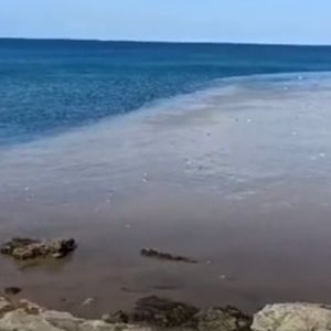 Gallipoli, rifiuti dai canali al mare: un disastro ecologico