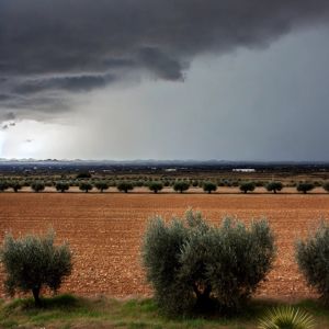 Eventi estremi in Puglia: 145 fenomeni nel 2024, agricoltura a rischio