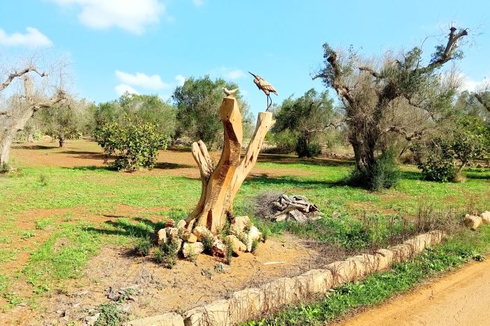 Una creazione artistica come risposta alla Xylella