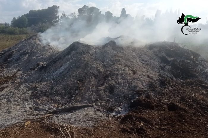 Denunciato imprenditore a Maglie per incendio di rifiuti vegetali