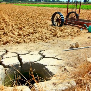 Siccità in Puglia, Coldiretti: “Concessioni pozzi solo per il biologico”